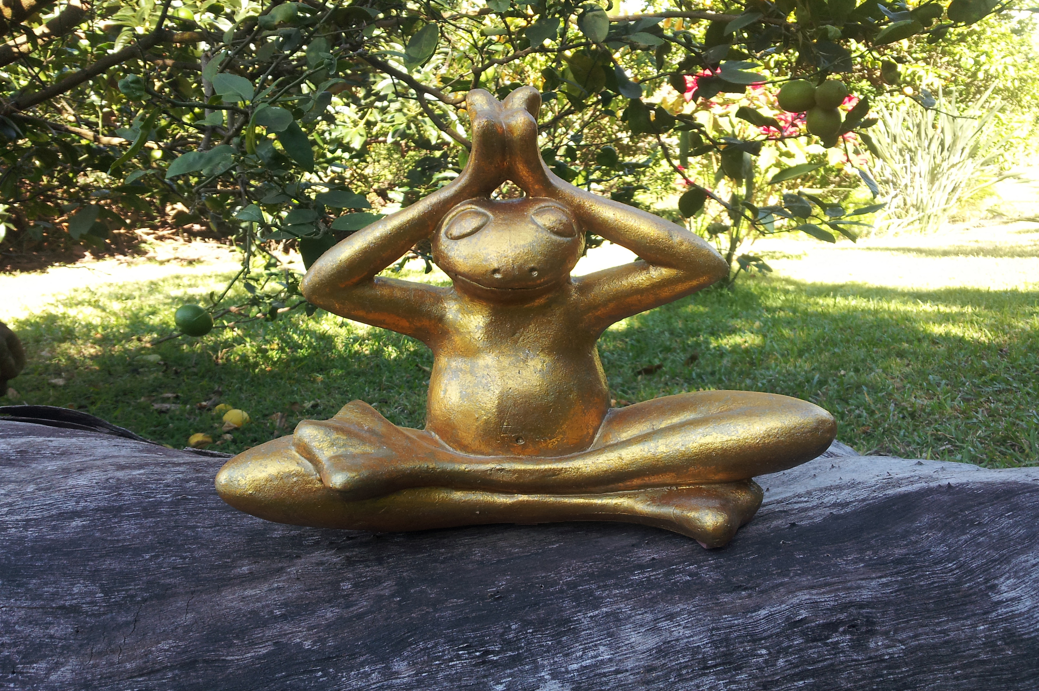 Da Frog